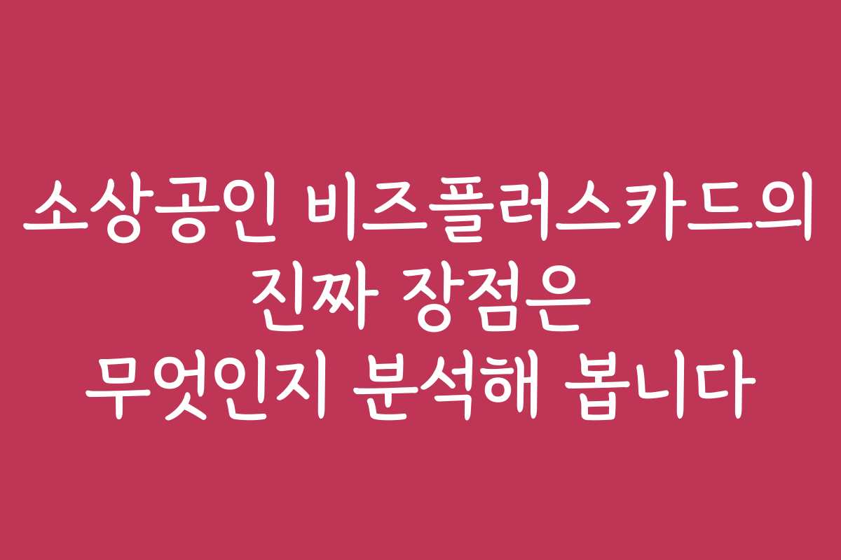 소상공인 비즈플러스카드의 진짜 장점은 무엇인지 분석해 봅니다