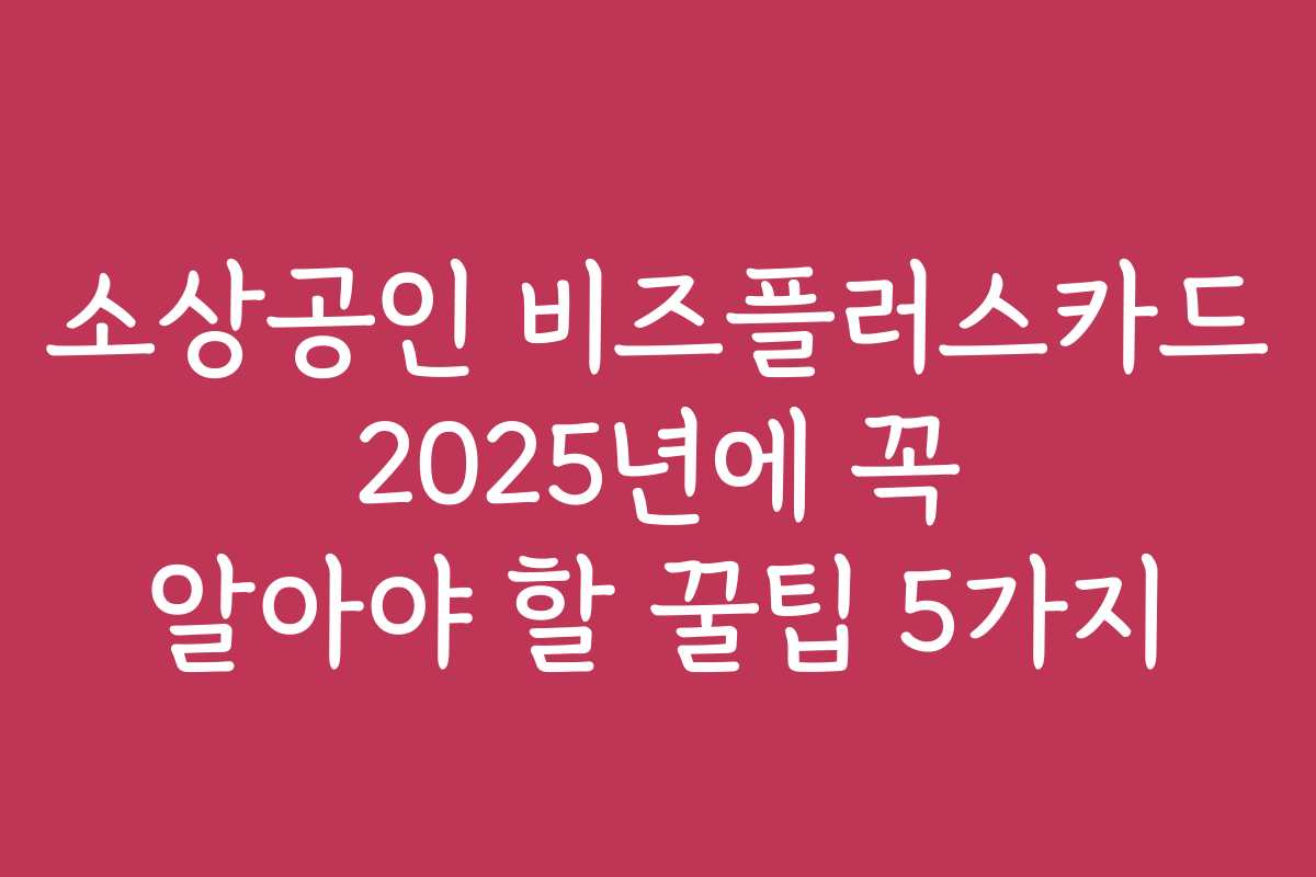 소상공인 비즈플러스카드 2025년에 꼭 알아야 할 꿀팁 5가지