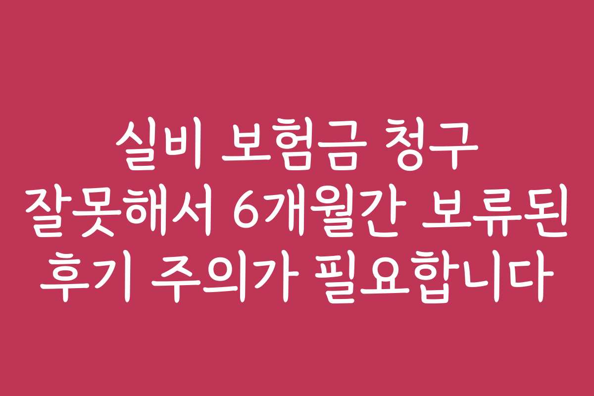 실비 보험금 청구 잘못해서 6개월간 보류된 후기 주의가 필요합니다