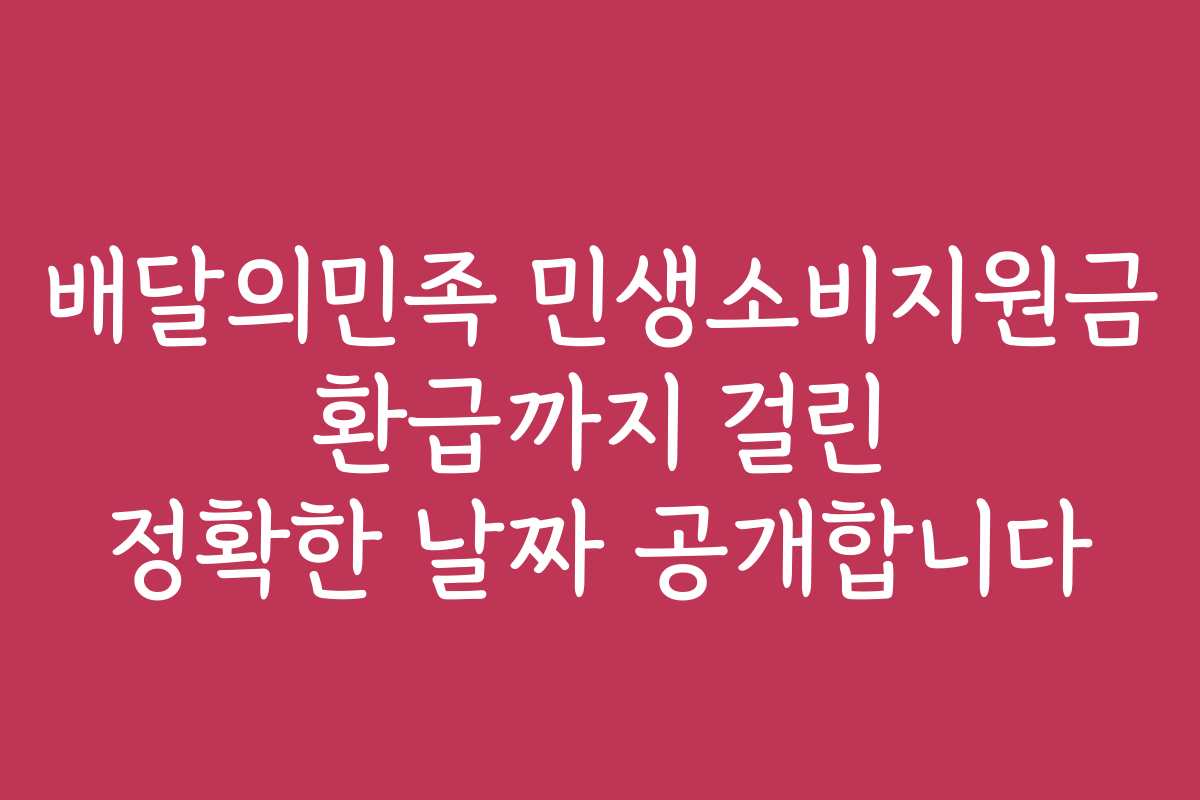 배달의민족 민생소비지원금 환급까지 걸린 정확한 날짜 공개합니다