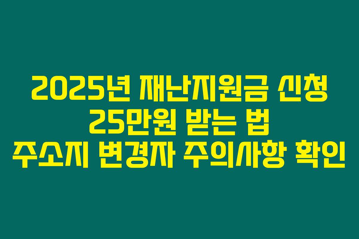 2025년 재난지원금 신청 25만원 받는 법 주소지 변경자 주의사항 확인