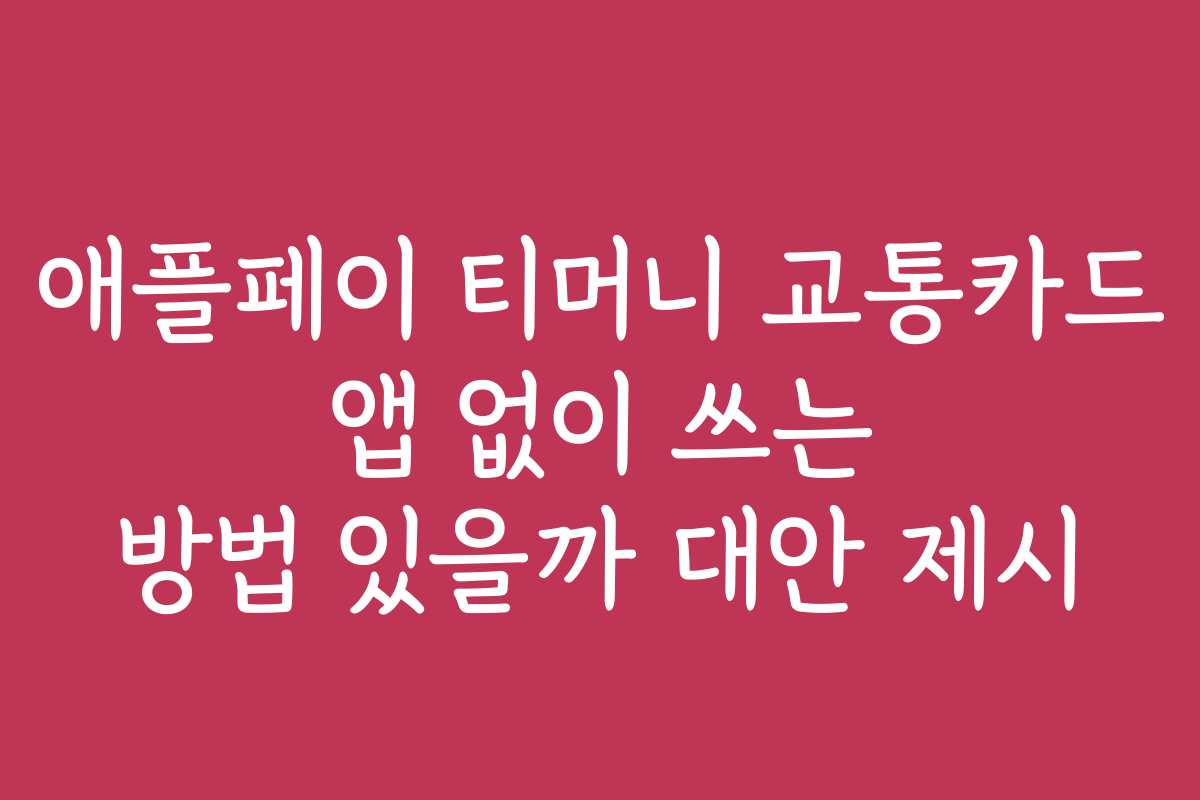 애플페이 티머니 교통카드 앱 없이 쓰는 방법 있을까 대안 제시