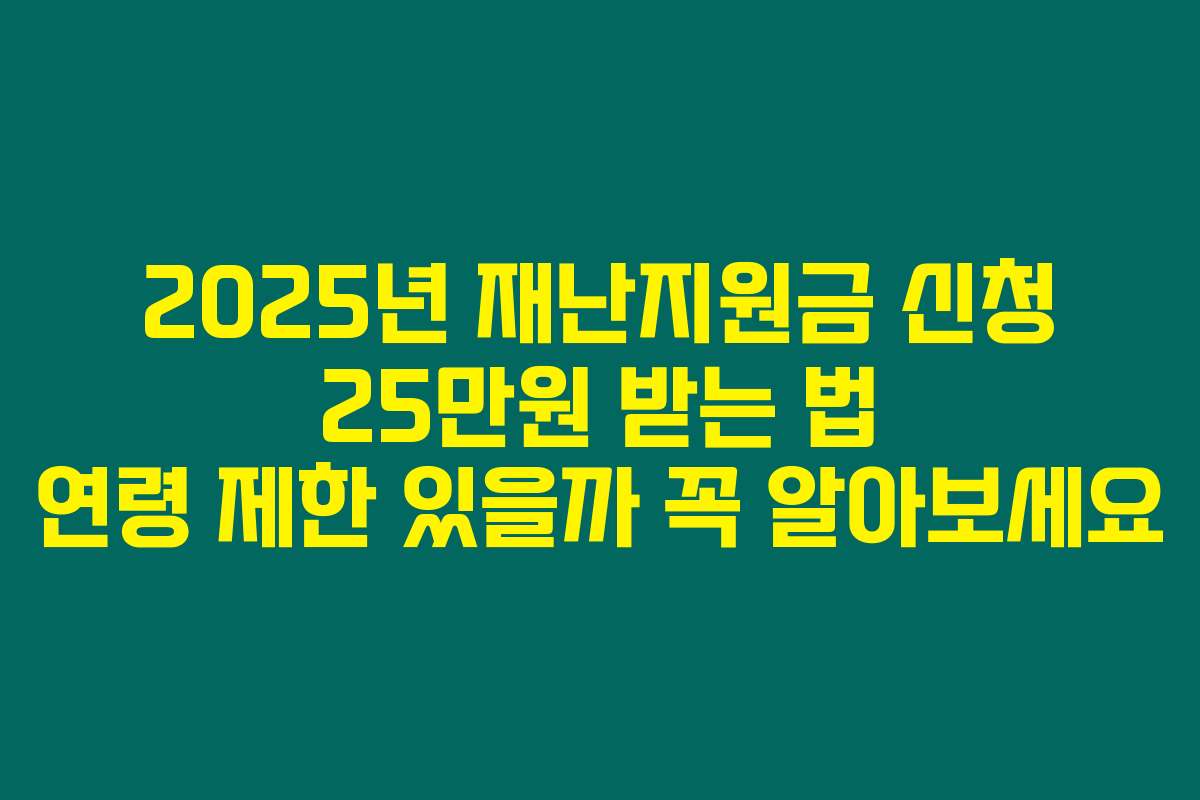 2025년 재난지원금 신청 25만원 받는 법 연령 제한 있을까 꼭 알아보세요