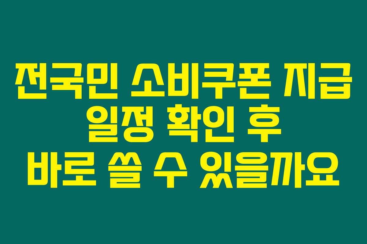 전국민 소비쿠폰 지급 일정 확인 후 바로 쓸 수 있을까요