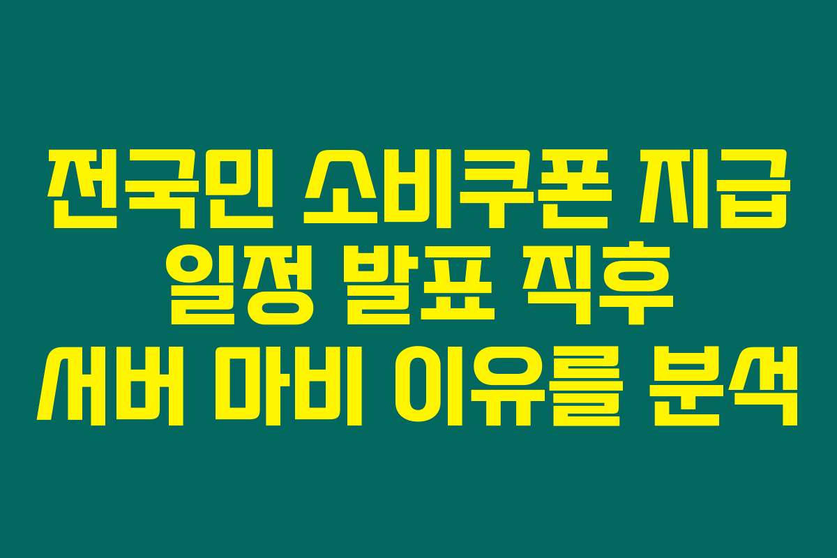 전국민 소비쿠폰 지급 일정 발표 직후 서버 마비 이유를 분석