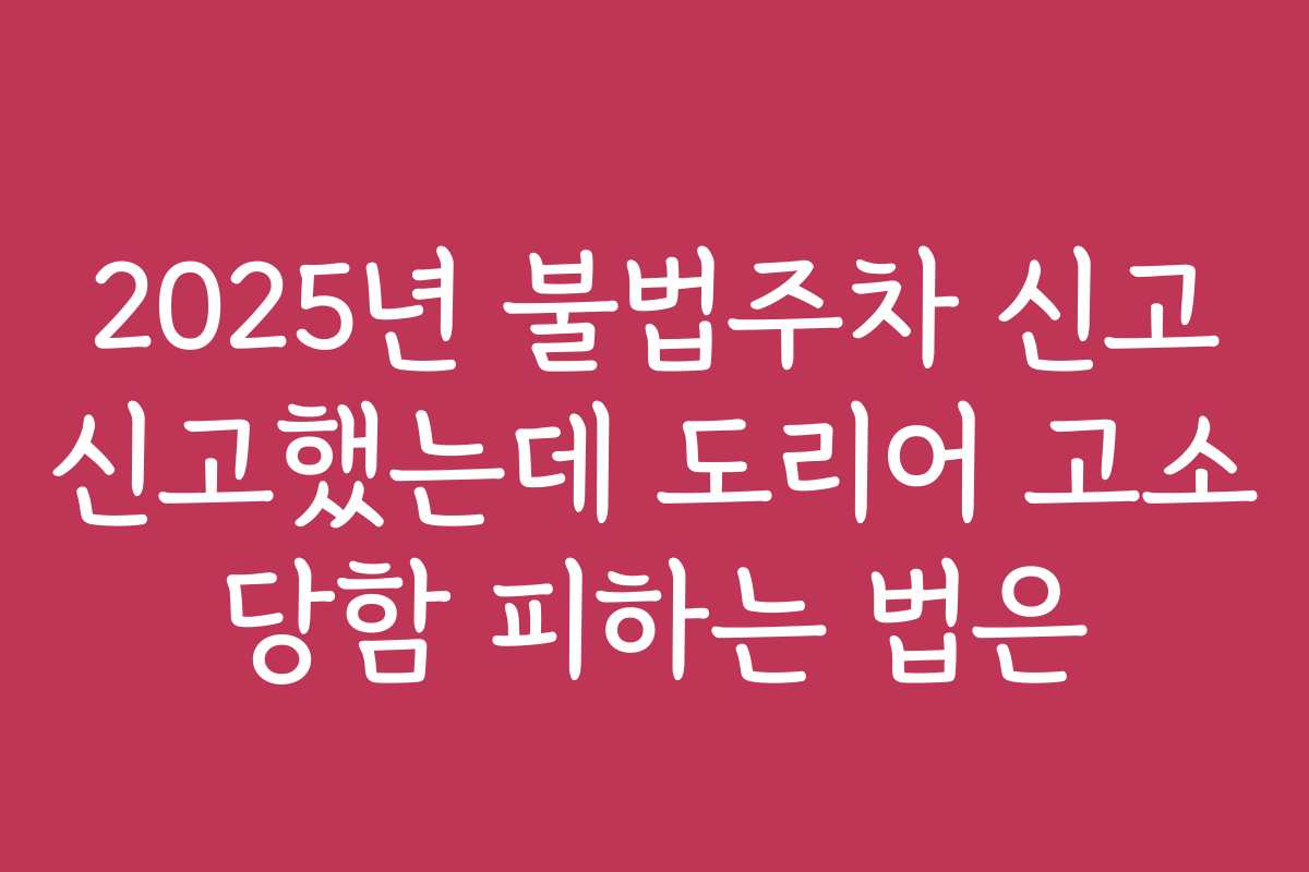 2025년 불법주차 신고 신고했는데 도리어 고소 당함 피하는 법은