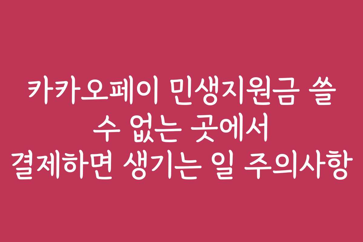 카카오페이 민생지원금 쓸 수 없는 곳에서 결제하면 생기는 일 주의사항