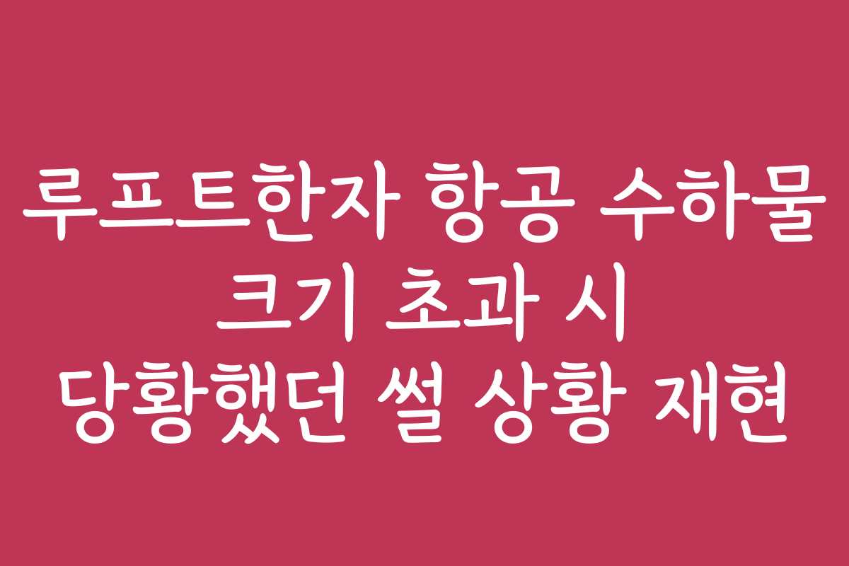 루프트한자 항공 수하물 크기 초과 시 당황했던 썰 상황 재현
