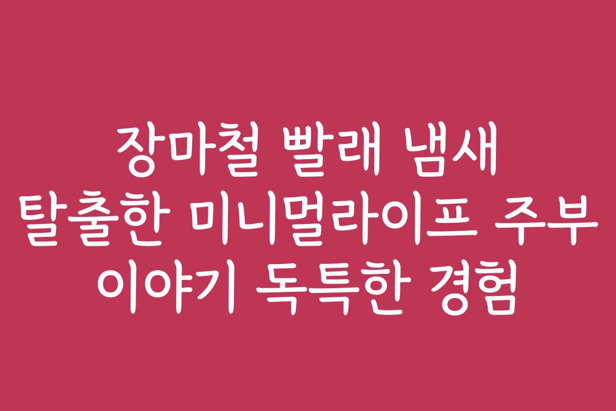 장마철 빨래 냄새 탈출한 미니멀라이프 주부 이야기 독특한 경험