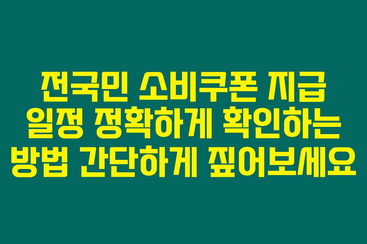 전국민 소비쿠폰 지급 일정 정확하게 확인하는 방법 간단하게 짚어보세요