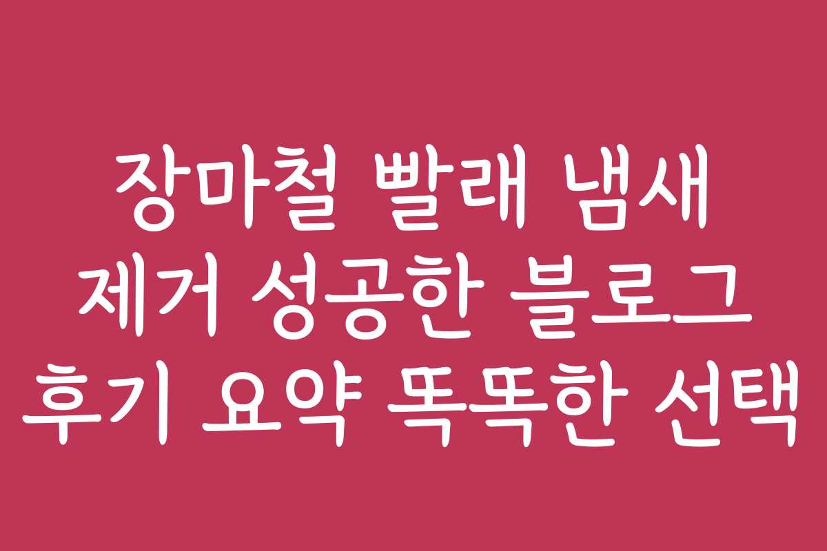장마철 빨래 냄새 제거 성공한 블로그 후기 요약 똑똑한 선택