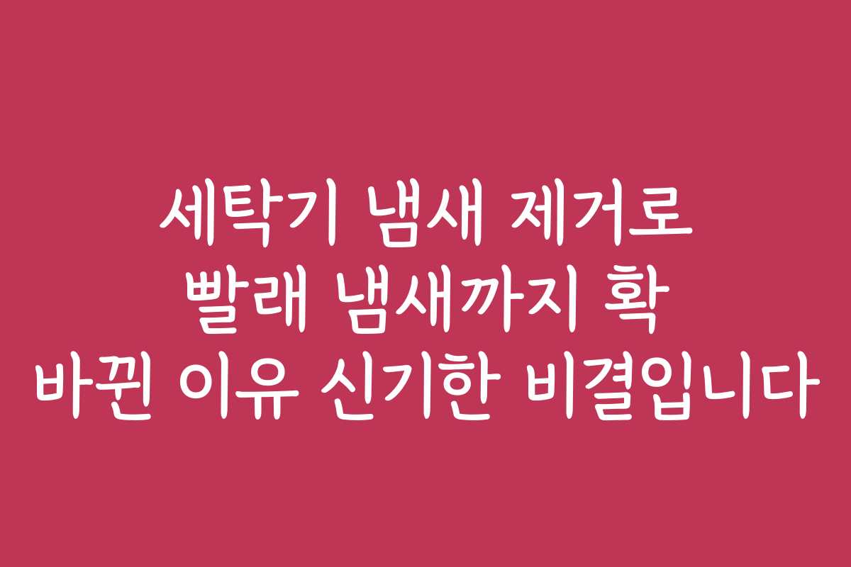 세탁기 냄새 제거로 빨래 냄새까지 확 바뀐 이유 신기한 비결입니다