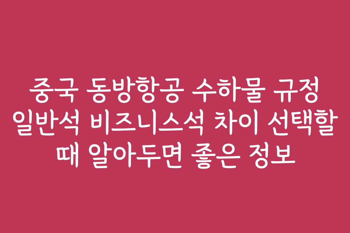 중국 동방항공 수하물 규정 일반석 비즈니스석 차이 선택할 때 알아두면 좋은 정보
