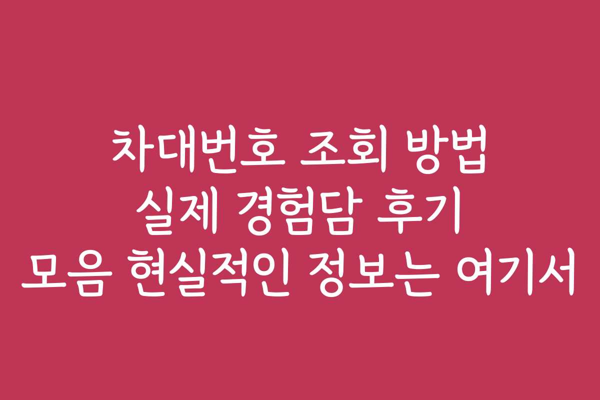 차대번호 조회 방법 실제 경험담 후기 모음 현실적인 정보는 여기서