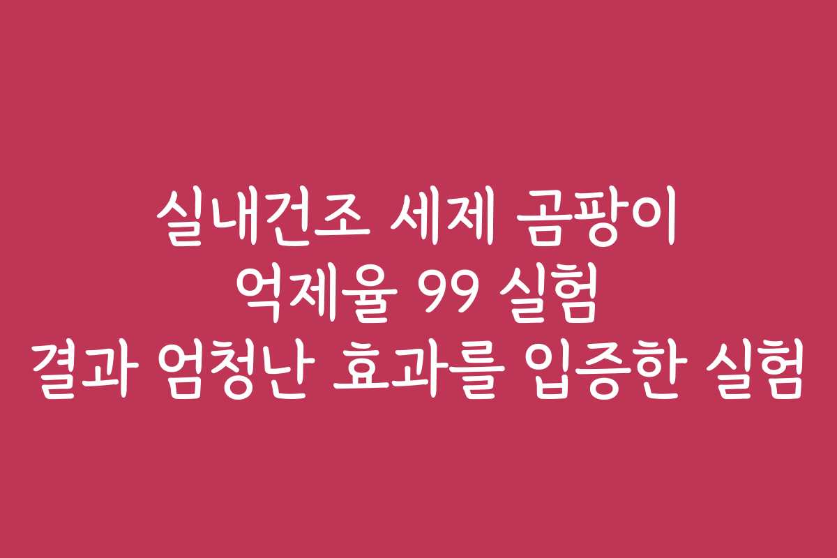 실내건조 세제 곰팡이 억제율 99 실험 결과 엄청난 효과를 입증한 실험