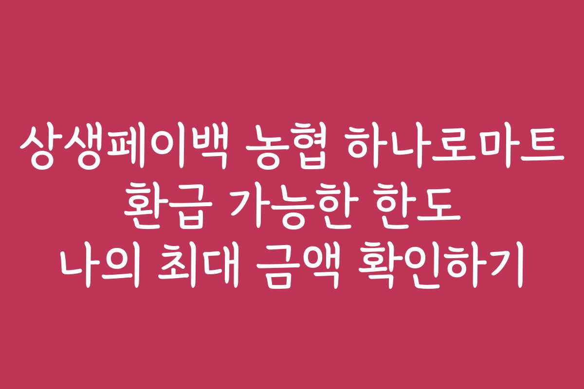 상생페이백 농협 하나로마트 환급 가능한 한도 나의 최대 금액 확인하기