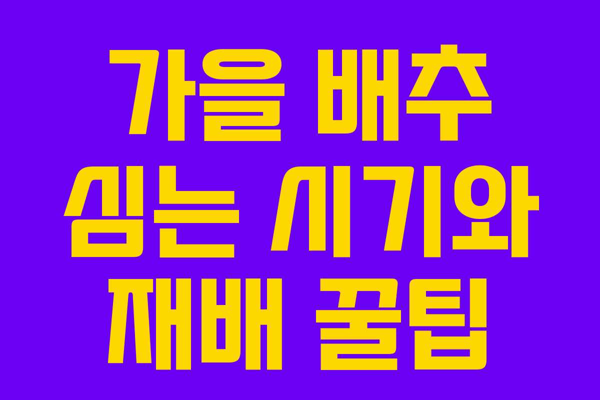 가을 배추 심는 시기와 재배 꿀팁