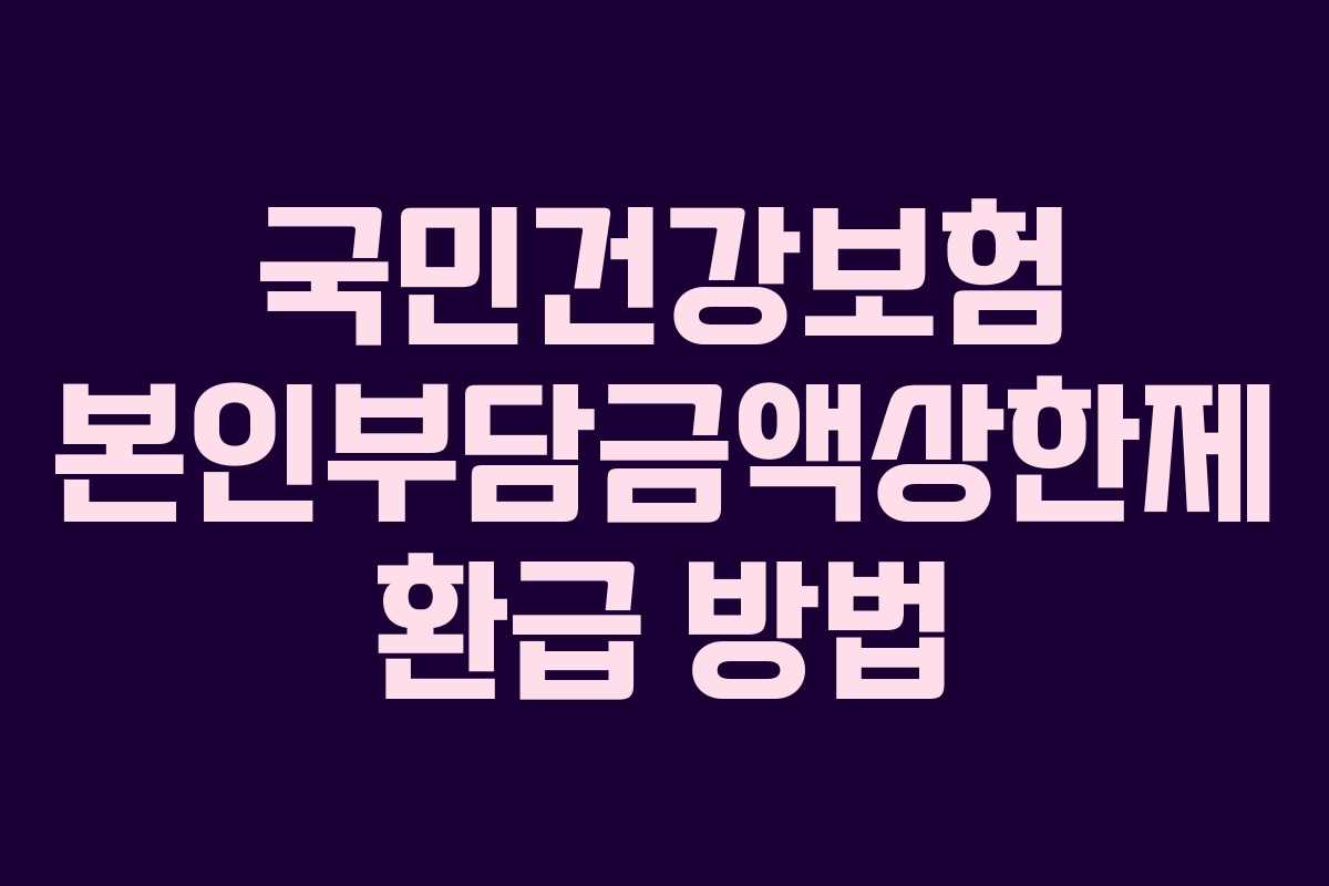 국민건강보험 본인부담금액상한제 환급 방법