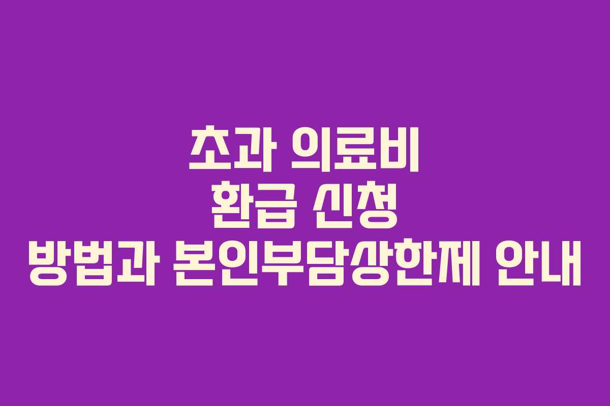 초과 의료비 환급 신청 방법과 본인부담상한제 안내