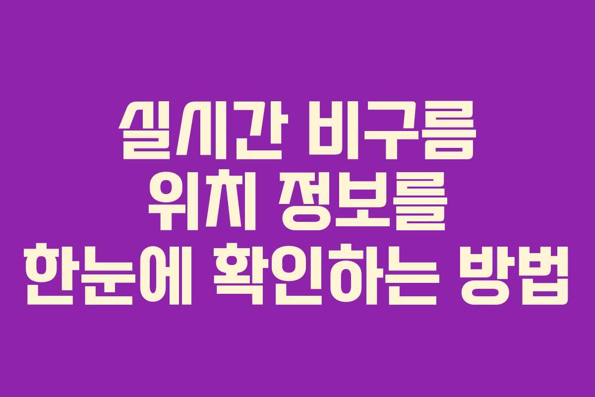 실시간 비구름 위치 정보를 한눈에 확인하는 방법