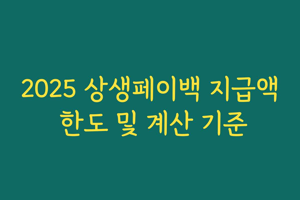 2025 상생페이백 지급액 한도 및 계산 기준 2025 상생페이백 지급액 한도 및 계산 기준