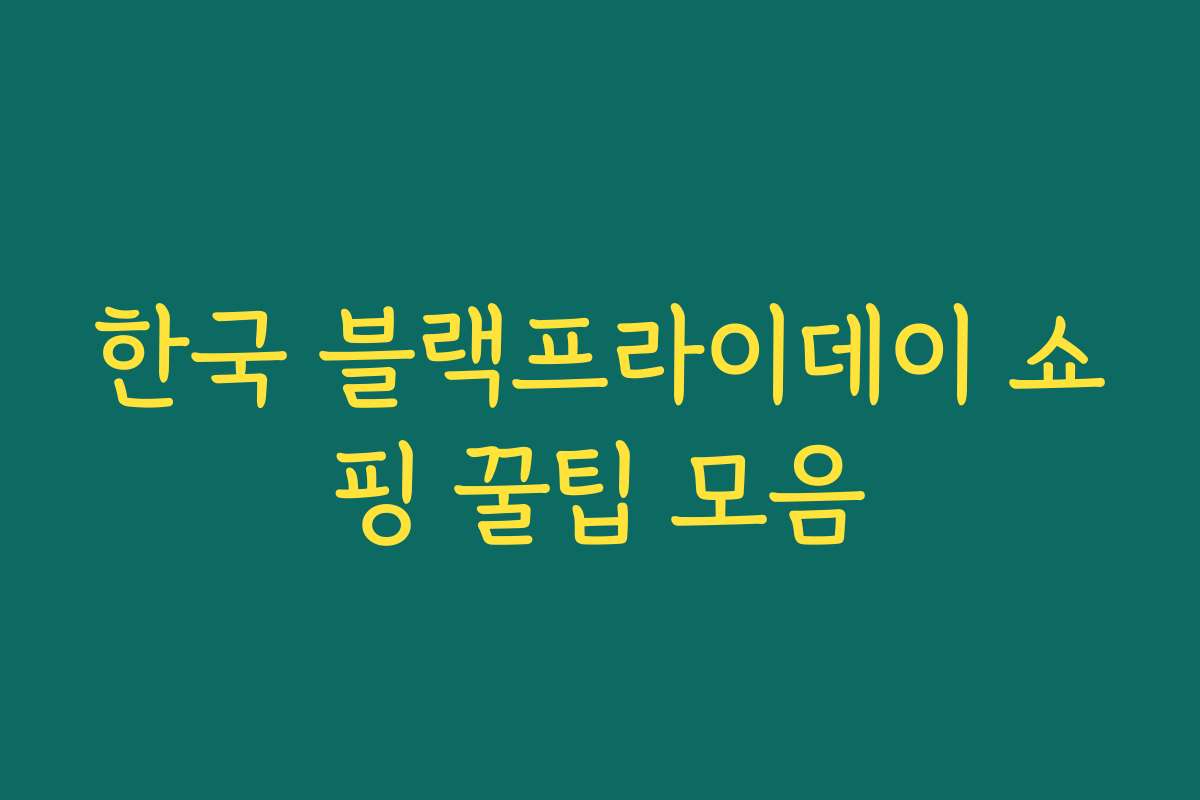 한국 블랙프라이데이 쇼핑 꿀팁 모음