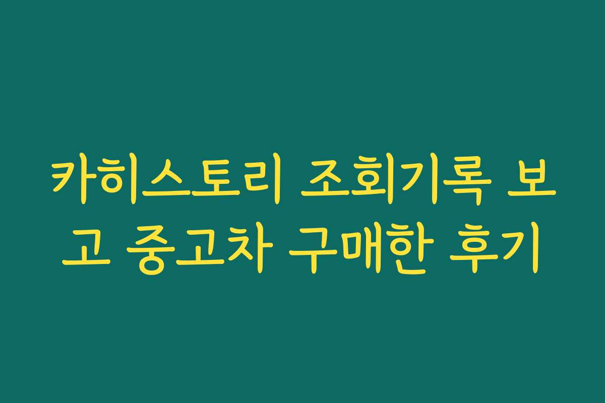 카히스토리 조회기록 보고 중고차 구매한 후기 카히스토리 조회기록 보고 중고차 구매한 후기