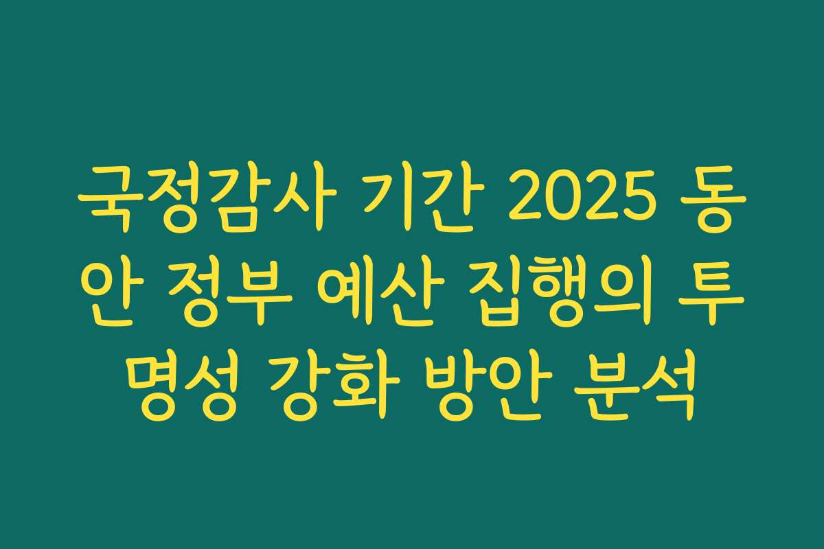 국정감사 기간 2025 동안 정부 예산 집행의 투명성 강화 방안 분석