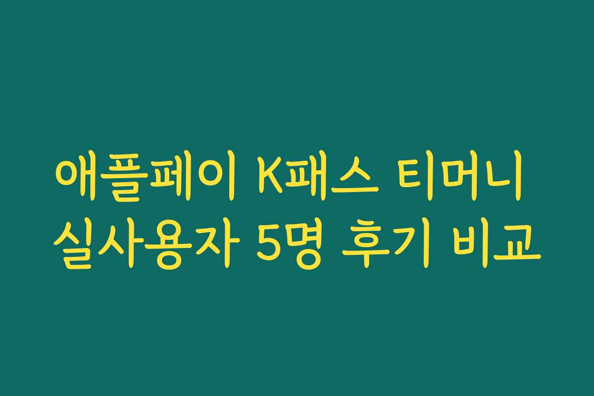 애플페이 K패스 티머니 실사용자 5명 후기 비교 애플페이 K패스 티머니 실사용자 5명 후기 비교