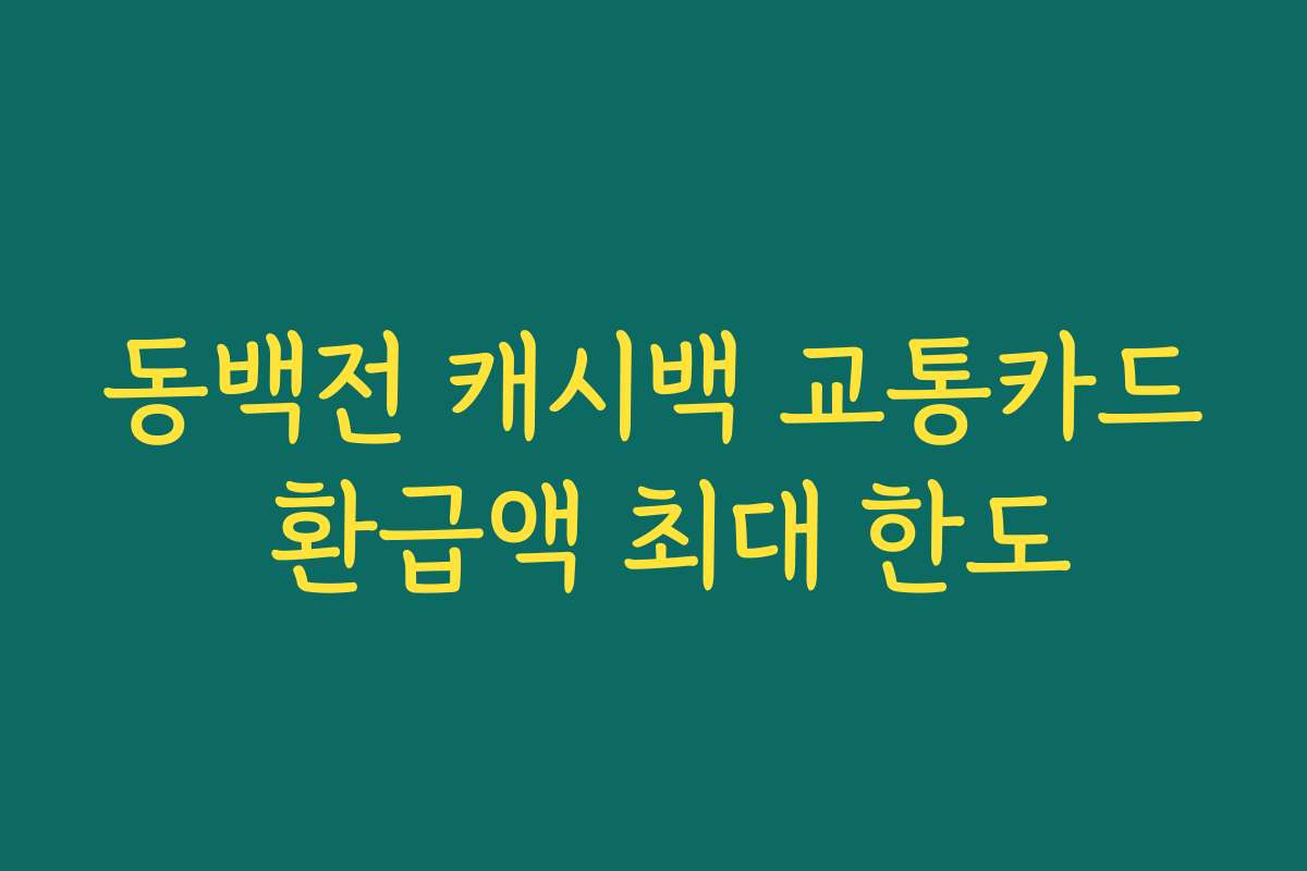 동백전 캐시백 교통카드 환급액 최대 한도 동백전 캐시백 교통카드 환급액 최대 한도