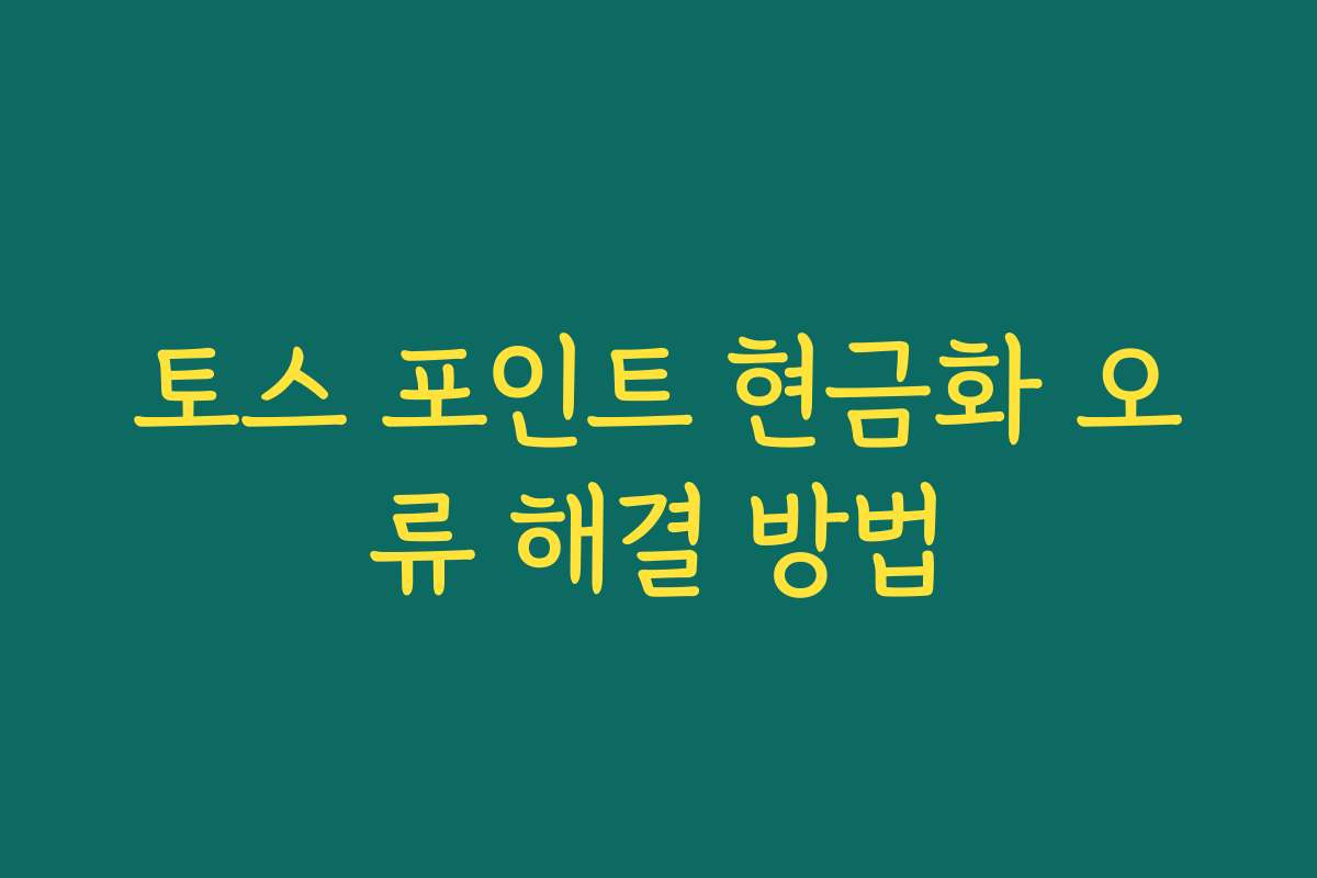 토스 포인트 현금화 오류 해결 방법 토스 포인트 현금화 오류 해결 방법
