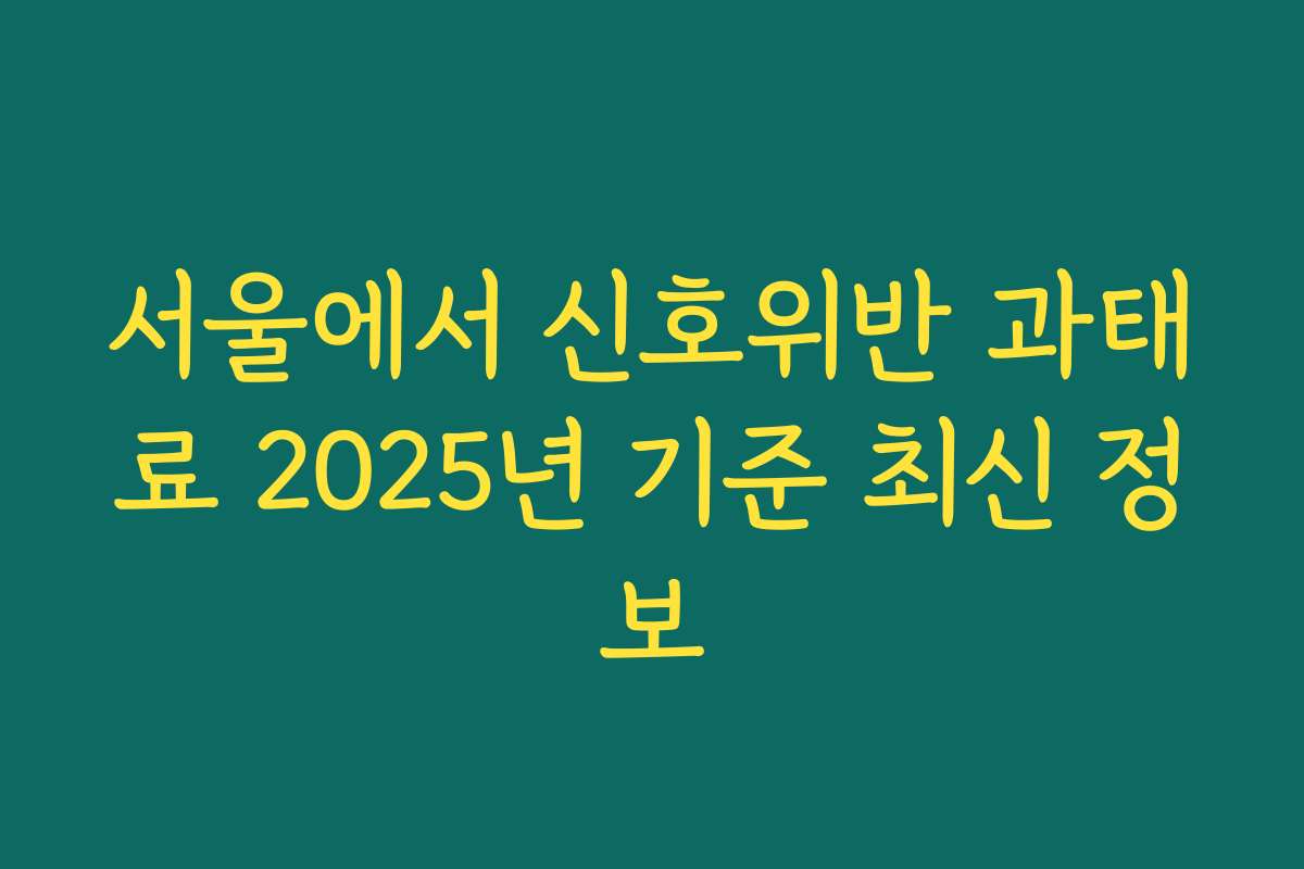 서울에서 신호위반 과태료 2025년 기준 최신 정보