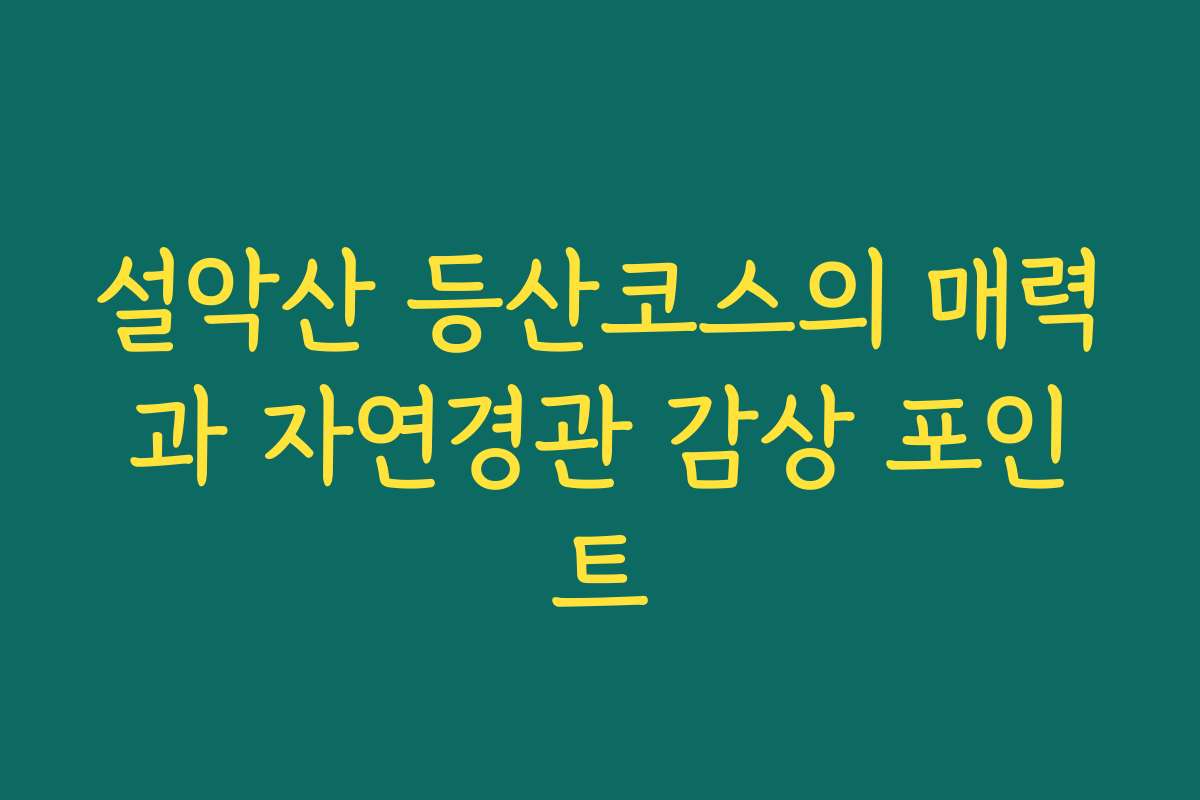 설악산 등산코스의 매력과 자연경관 감상 포인트