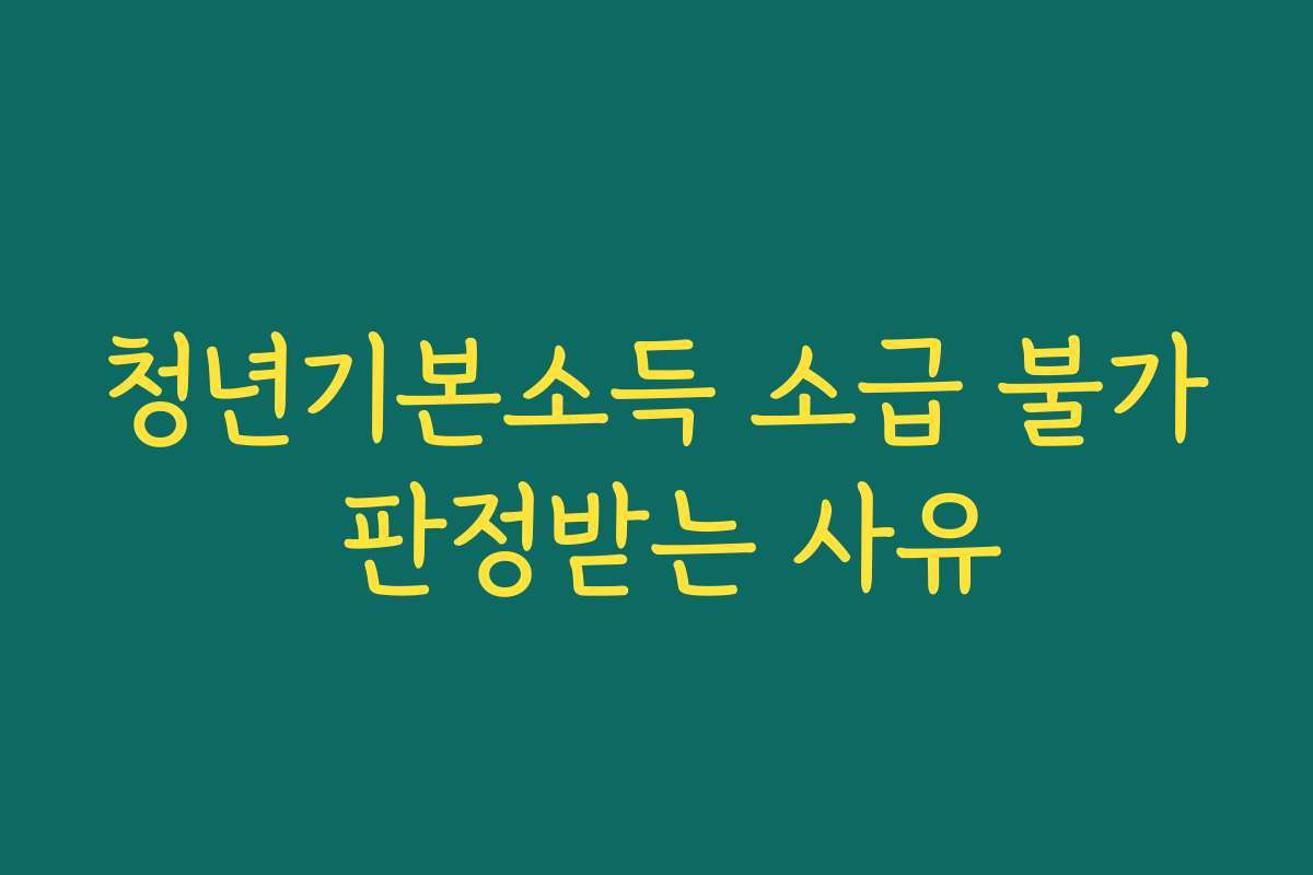 청년기본소득 소급 불가 판정받는 사유