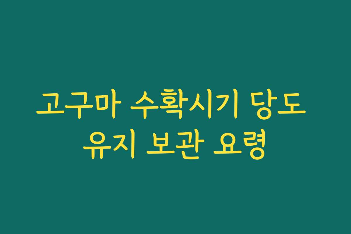 고구마 수확시기 당도 유지 보관 요령