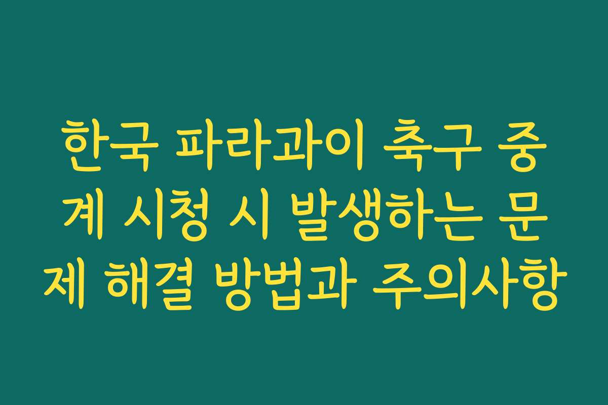 한국 파라과이 축구 중계 시청 시 발생하는 문제 해결 방법과 주의사항