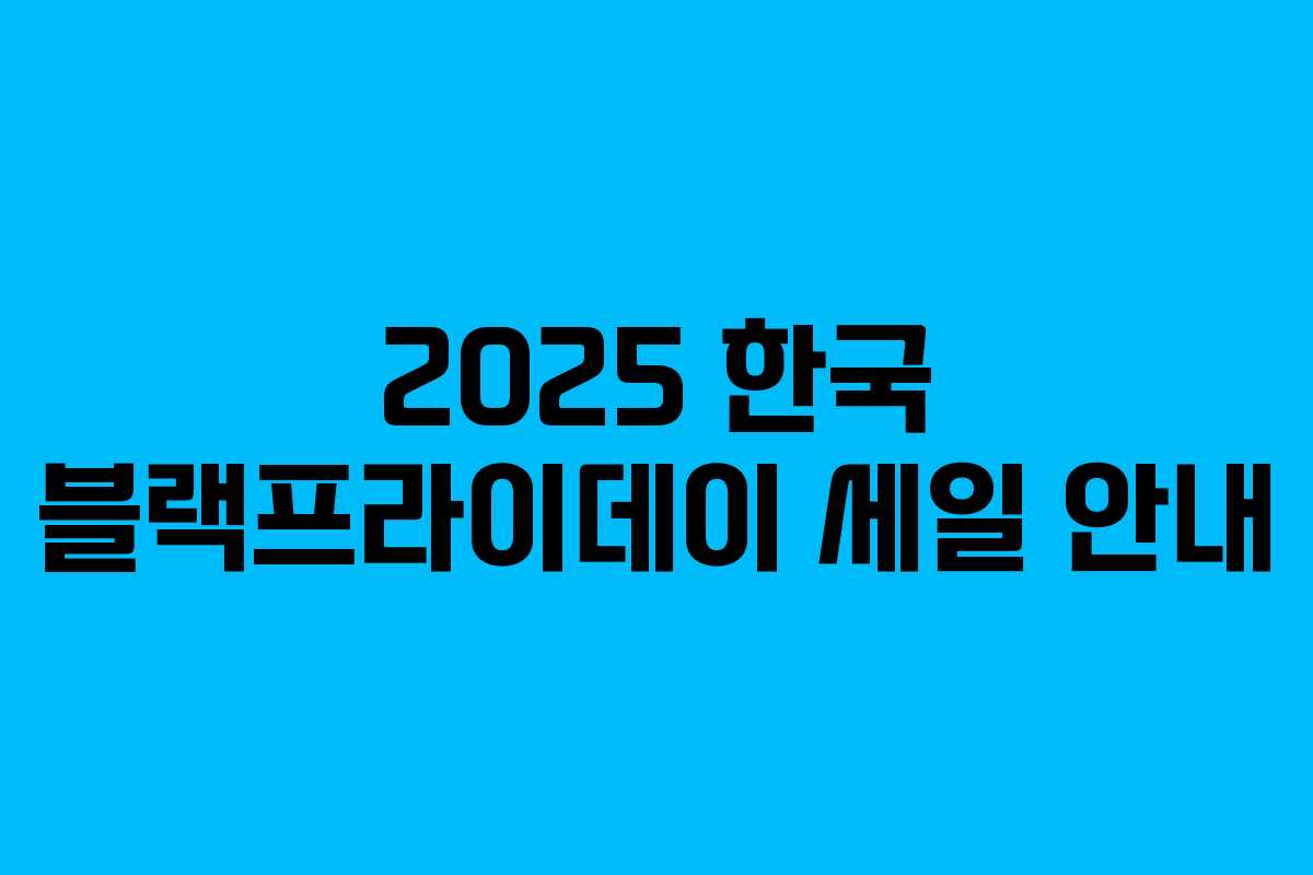 2025 한국 블랙프라이데이 세일 안내