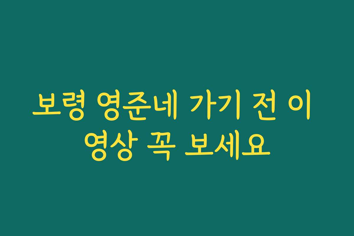 보령 영준네 가기 전 이 영상 꼭 보세요