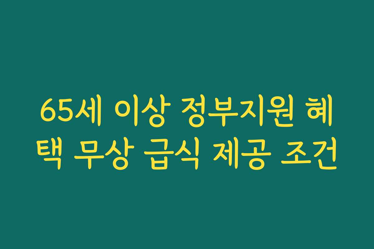 65세 이상 정부지원 혜택 무상 급식 제공 조건 65세 이상 정부지원 혜택 무상 급식 제공 조건