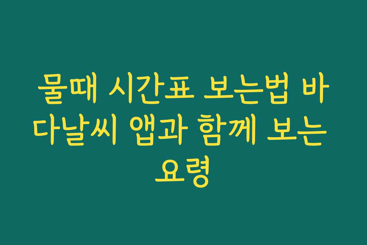 물때 시간표 보는법 바다날씨 앱과 함께 보는 요령