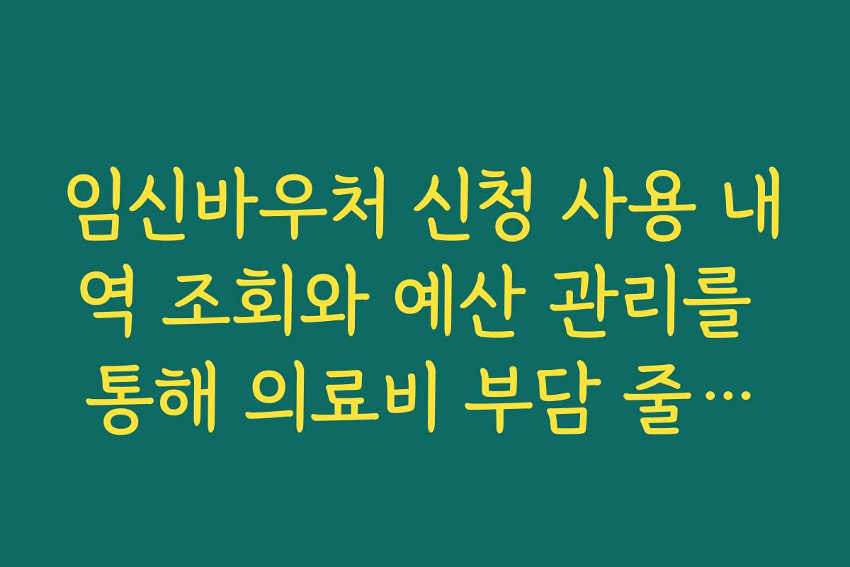 임신바우처 신청 사용 내역 조회와 예산 관리를 통해 의료비 부담 줄이는 방법