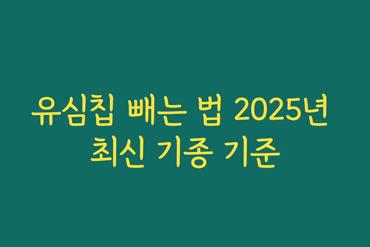 유심칩 빼는 법 2025년 최신 기종 기준