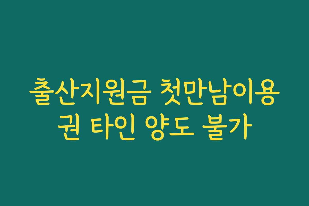 출산지원금 첫만남이용권 타인 양도 불가