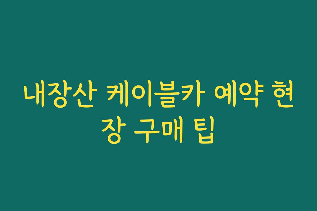 내장산 케이블카 예약 현장 구매 팁