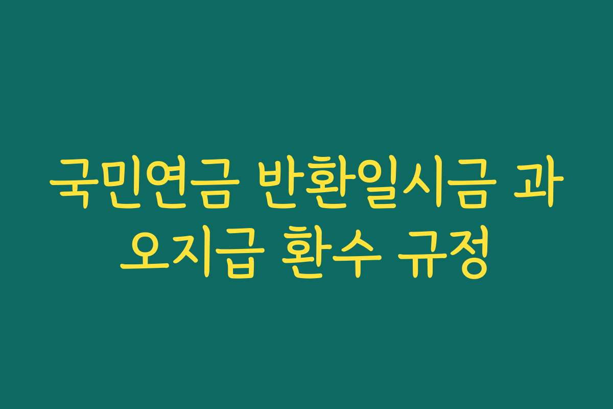 국민연금 반환일시금 과오지급 환수 규정