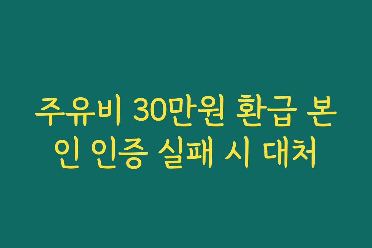주유비 30만원 환급 본인 인증 실패 시 대처