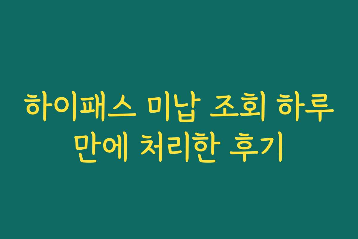 하이패스 미납 조회 하루만에 처리한 후기