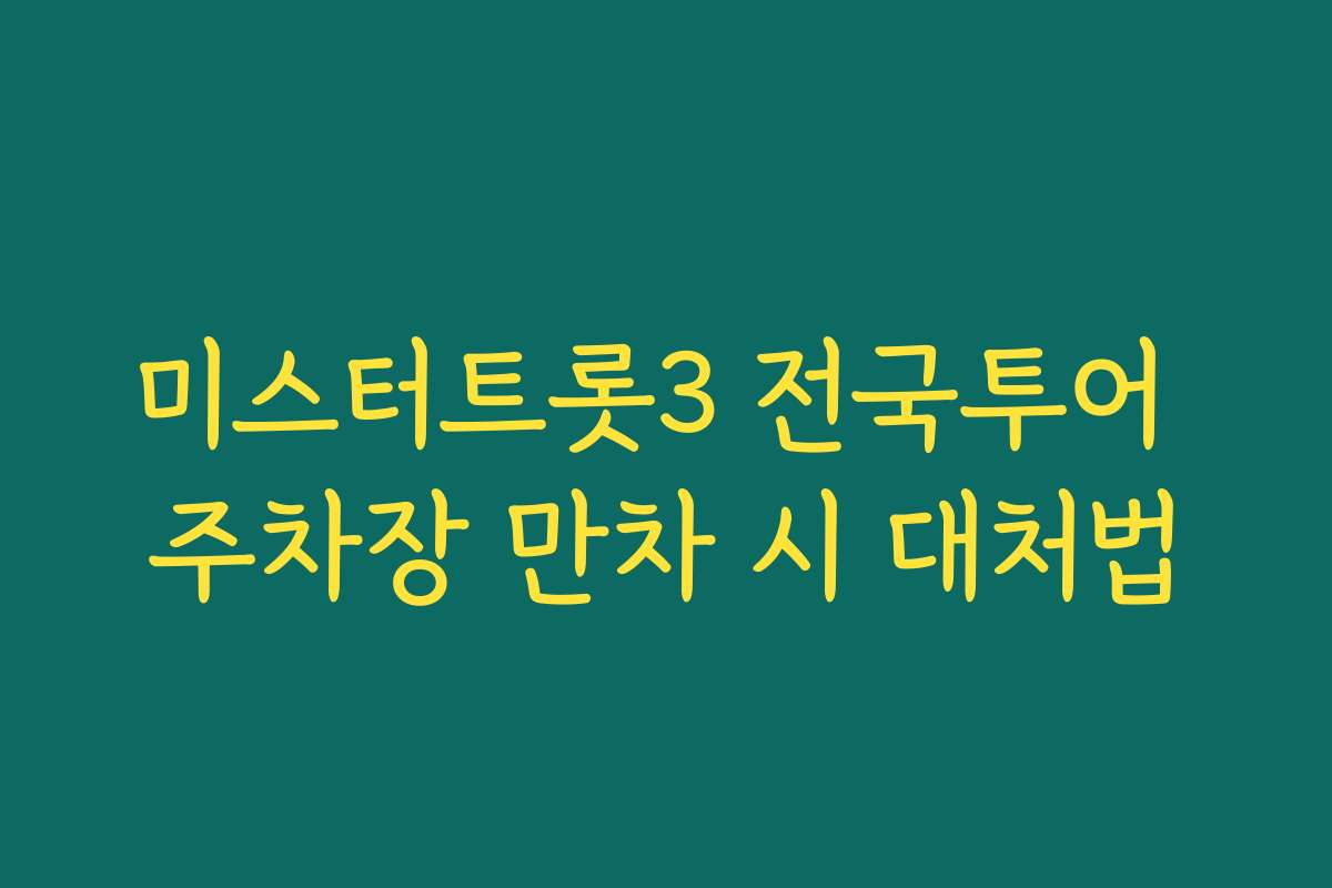 미스터트롯3 전국투어 주차장 만차 시 대처법