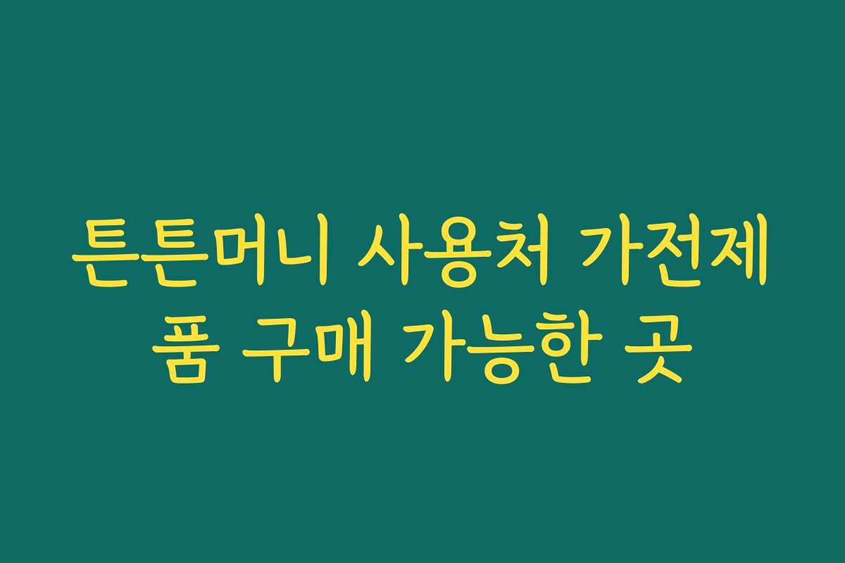 튼튼머니 사용처 가전제품 구매 가능한 곳