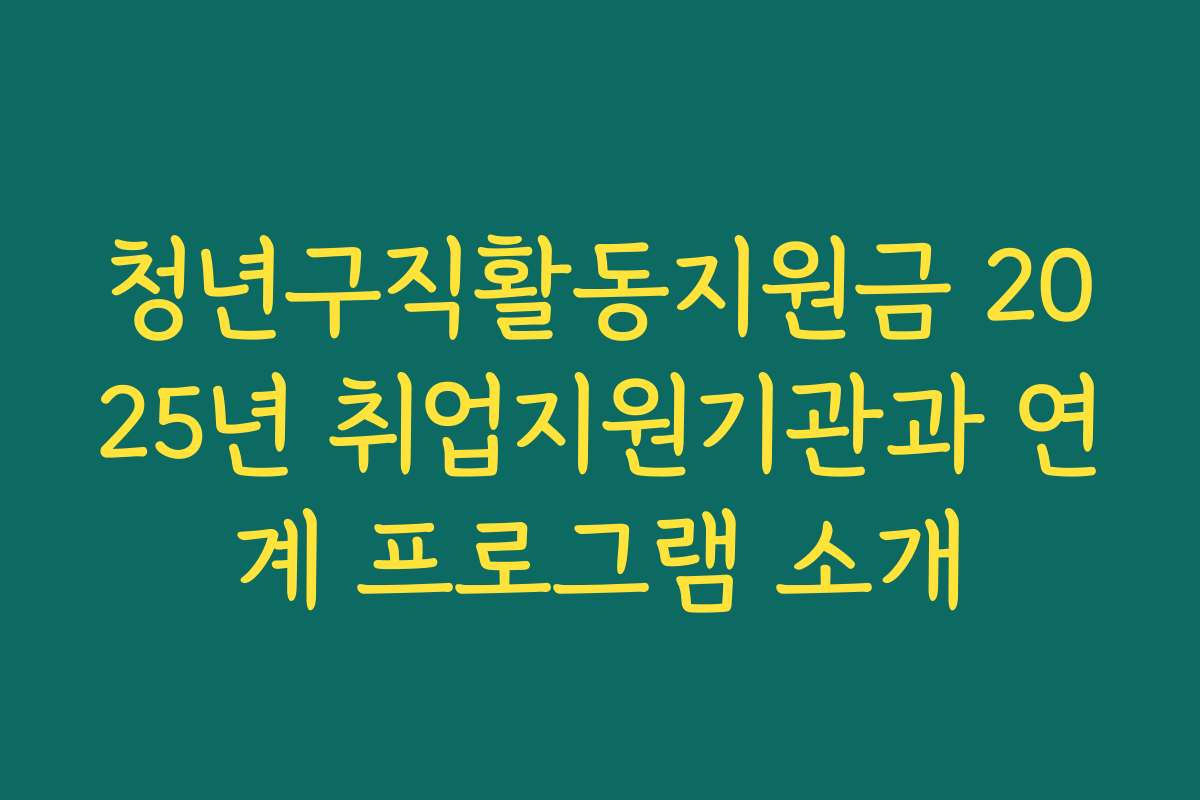 청년구직활동지원금 2025년 취업지원기관과 연계 프로그램 소개